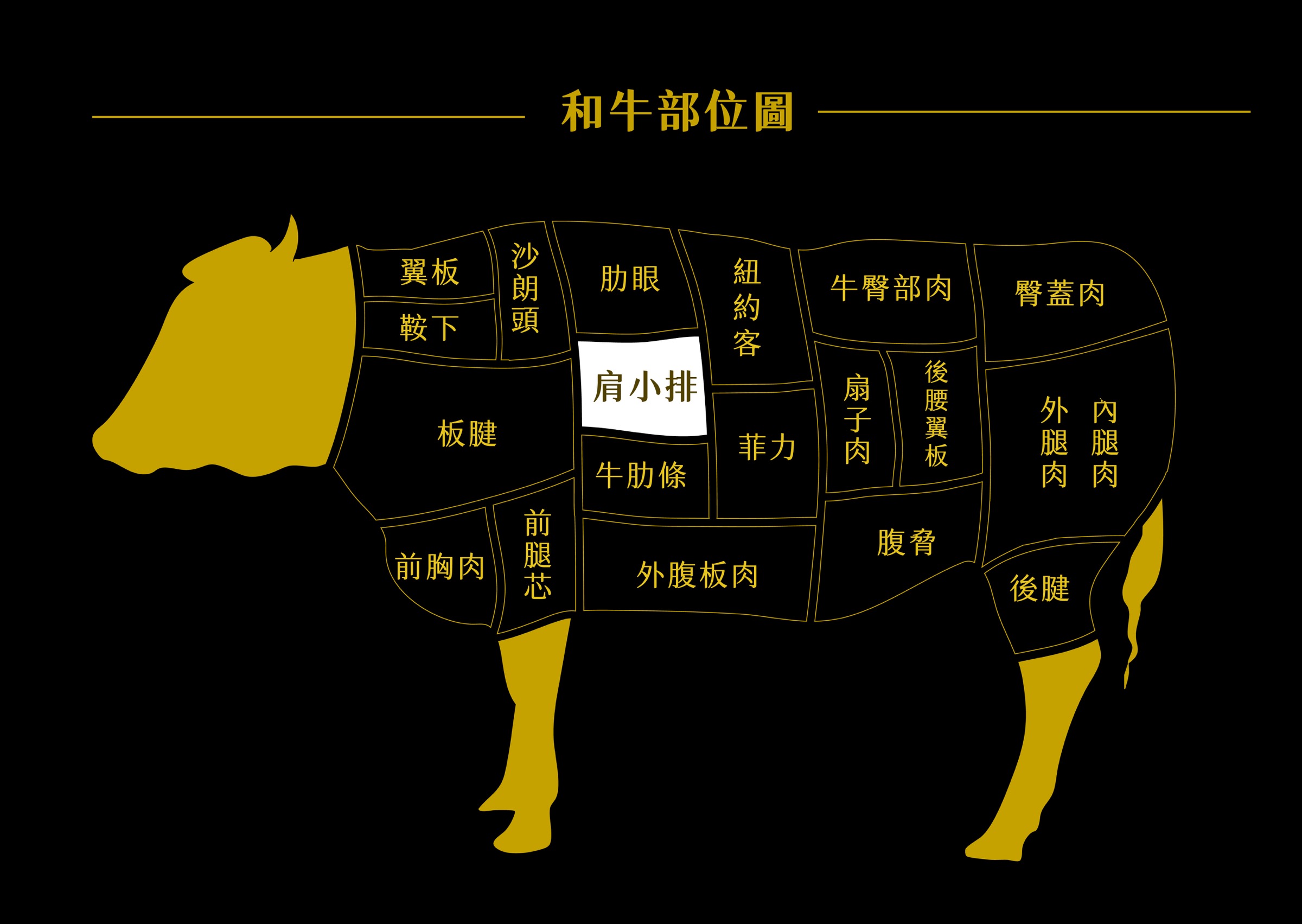 和牛肩小排部位示意圖